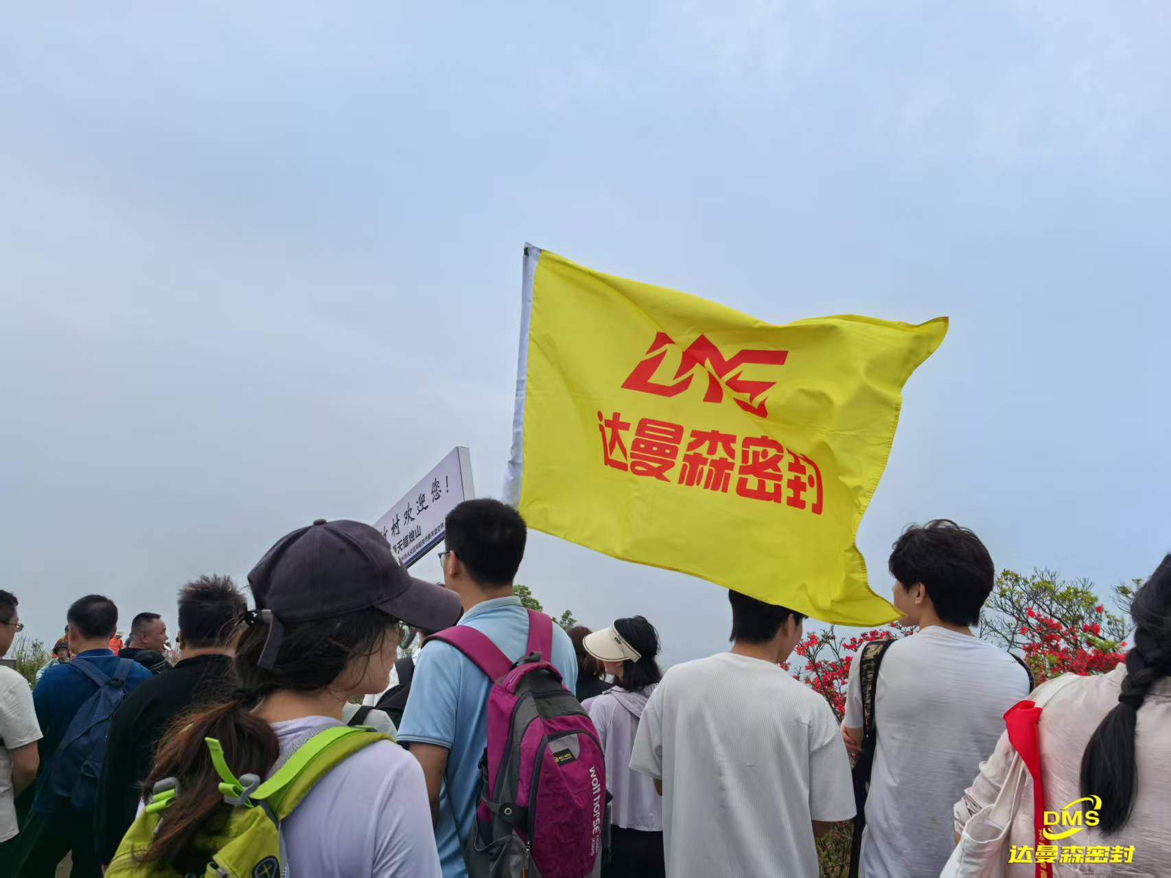 2024新奥门资料大全